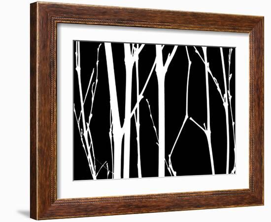 Reverse Silhouette I-Monika Burkhart-Framed Photographic Print