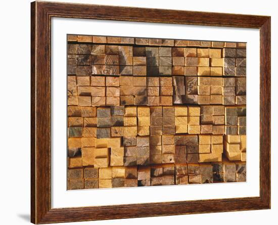 Timber, Stacked-Thonig-Framed Photographic Print