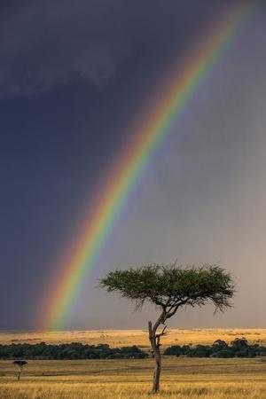 Premium Photographic Print, , small