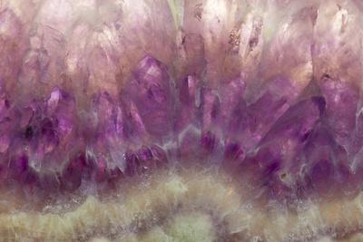 Photographic Print, , small