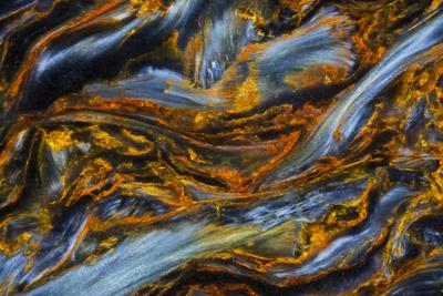 Photographic Print, , small