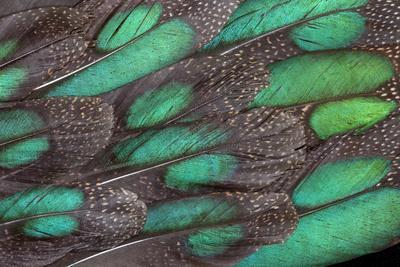 Photographic Print, , small