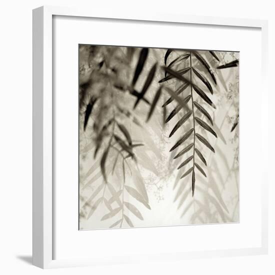 Florison 56-Alan Blaustein-Framed Photographic Print