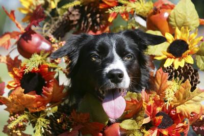 Photographic Print, , small