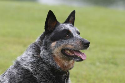 Photographic Print, , small