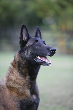 Photographic Print, , small