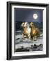 Dream Horses 068-Bob Langrish-Framed Photographic Print