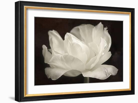 White Tulip III-Cora Niele-Framed Photographic Print