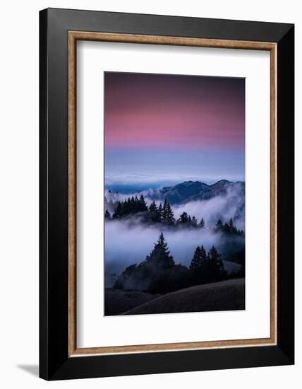 Gateway To Heaven, Beautiful Sunset and Fog at Mount Tamalpais, California-Vincent James-Framed Photographic Print