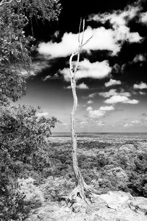 Photographic Print, , small