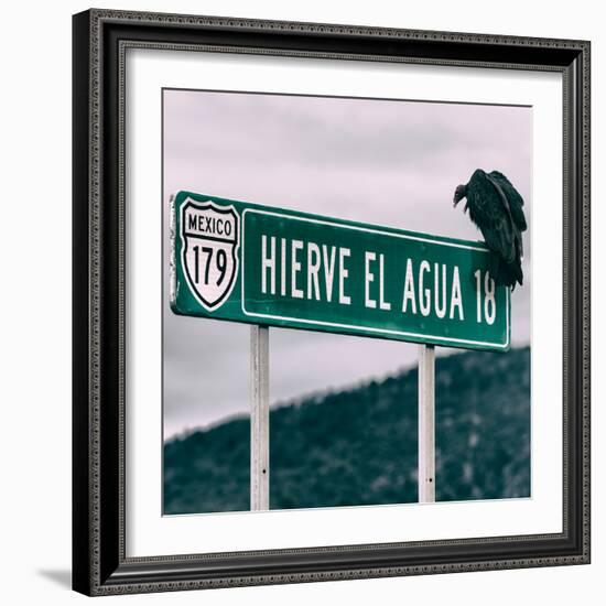 ¡Viva Mexico! Square Collection - Vulture-Philippe Hugonnard-Framed Photographic Print