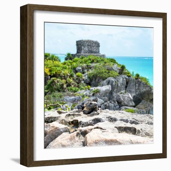 ¡Viva Mexico! Square Collection - Tulum Ruins along Caribbean Coastline with Iguana III-Philippe Hugonnard-Framed Photographic Print