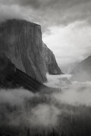 Premium Photographic Print, , small