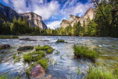 Premium Photographic Print, , small