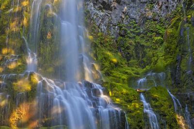 Premium Photographic Print, , small