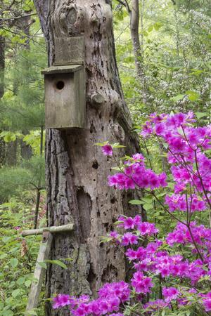 Premium Photographic Print, , small