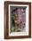 Old Bicycle with Flower Basket Next to Old Outhouse Garden Shed-Richard and Susan Day-Framed Photographic Print