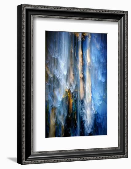 Evening Trees 1-Ursula Abresch-Framed Photographic Print