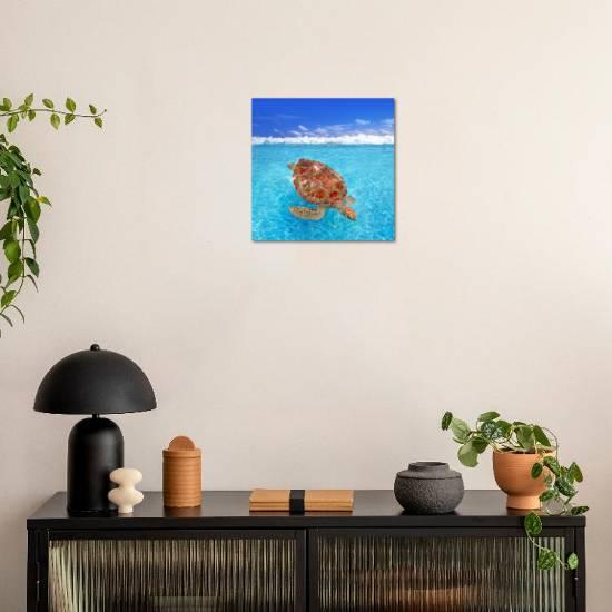 'Green Sea Turtle Chelonia Mydas Caribbean Sea Cheloniidae Water ...