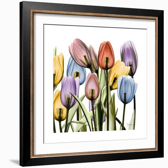 Tulipscape-Albert Koetsier-Framed Art Print