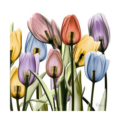 Premium Giclee Print, , small