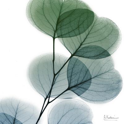 Premium Giclee Print, , small