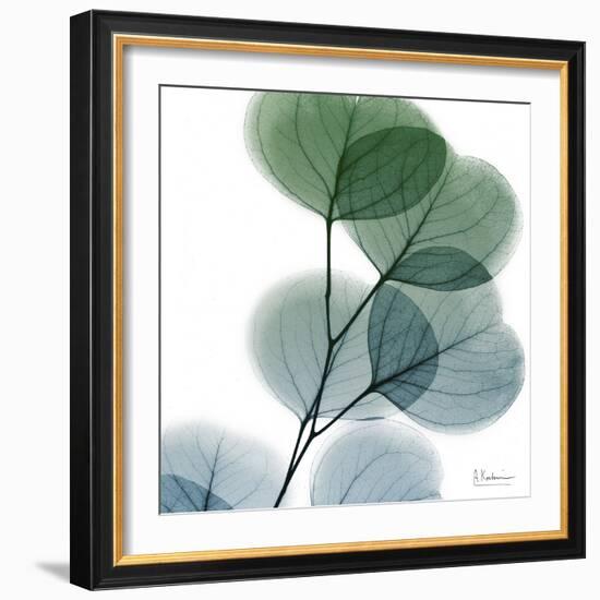 Dull Eucalyptus-Albert Koetsier-Framed Art Print