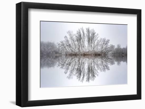 Equanimity-Philippe Sainte-Laudy-Framed Photographic Print