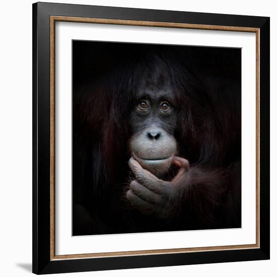 The Mirror Image-Antje Wenner-Braun-Framed Photographic Print
