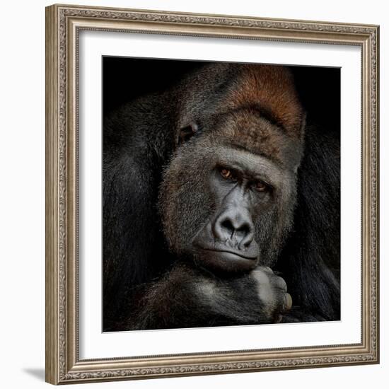 One Moment in Contact-Antje Wenner-Braun-Framed Photographic Print