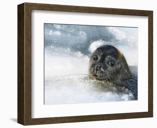 Do You Have a Fish?-Holger Droste-Framed Photographic Print
