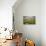 Stormy Skies Hang Over The Marshlands Surrounding Smith Island In The Chesapeake Bay-Karine Aigner-Photographic Print displayed on a wall