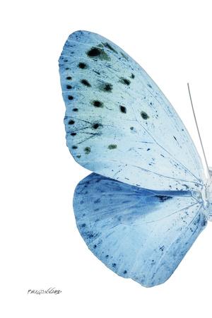 Photographic Print, , small