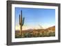 Sonoran Desert Catching Days Last Rays.-Anton Foltin-Framed Photographic Print