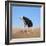 Scared Ostrich Burying its Head in Sand Concept-Andrey_Kuzmin-Framed Photographic Print