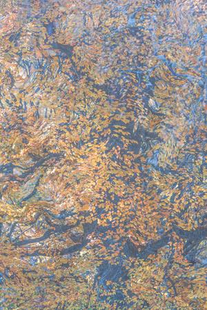 Photographic Print, , small