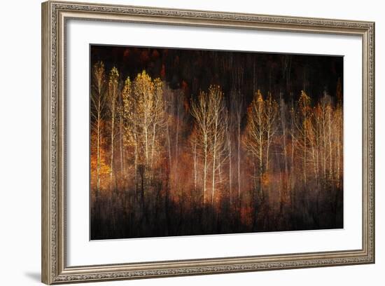 Autumn Soul-Ursula Abresch-Framed Photographic Print