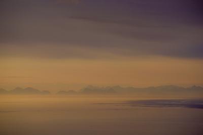 Premium Photographic Print, , small