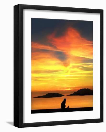 Contemplation-Jon Bertelli-Framed Photographic Print