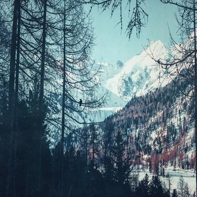 Photographic Print, , small