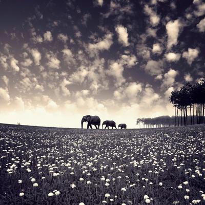 Premium Giclee Print, , small