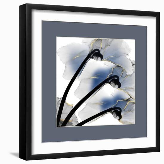 Indigo Luster Cyclamen Border-Albert Koetsier-Framed Photo