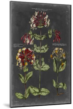 Botanical Chart Print