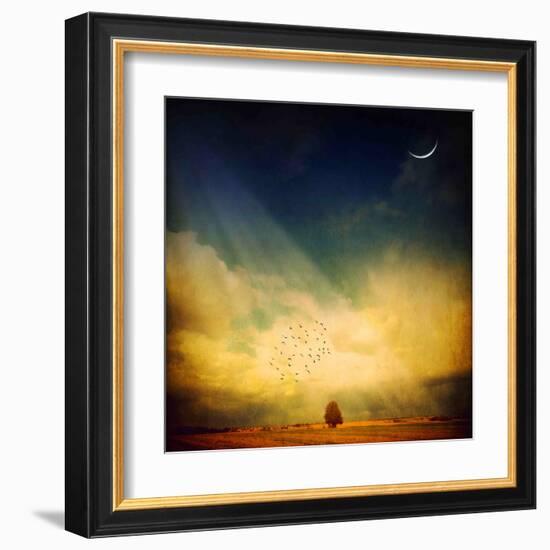 Echo of a Sigh-Philippe Sainte-Laudy-Framed Premium Photographic Print