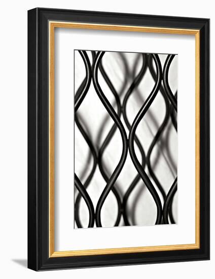 Curves I-Tammy Putman-Framed Photographic Print