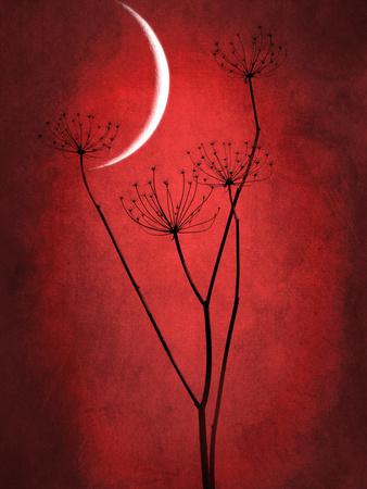 Photographic Print, , small