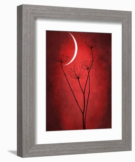 Under the Moon 2-Philippe Sainte-Laudy-Framed Photographic Print