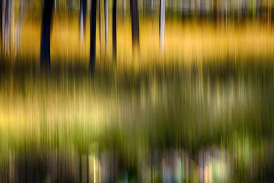 Photographic Print, , small