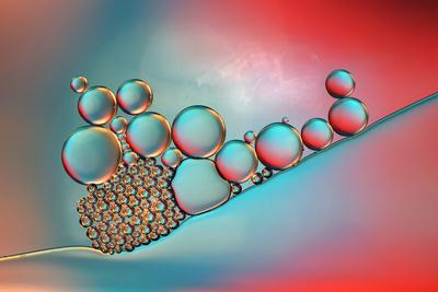 Photographic Print, , small