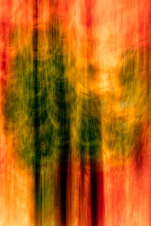 Photographic Print, , small